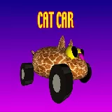 Cat Car